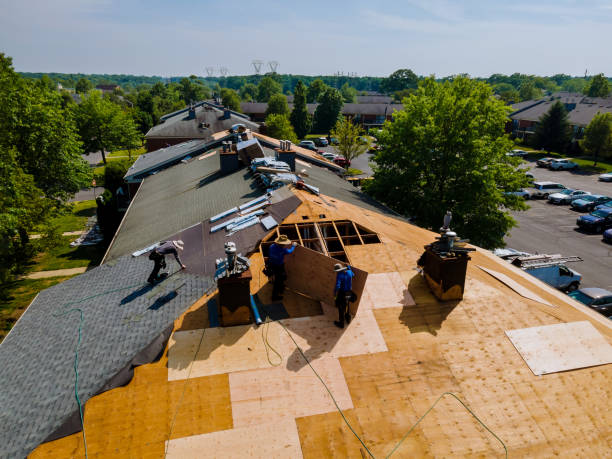 Trusted Storm Damage Roof Repair service in Mount Prospect, IL - Brentwood Metal Roofing